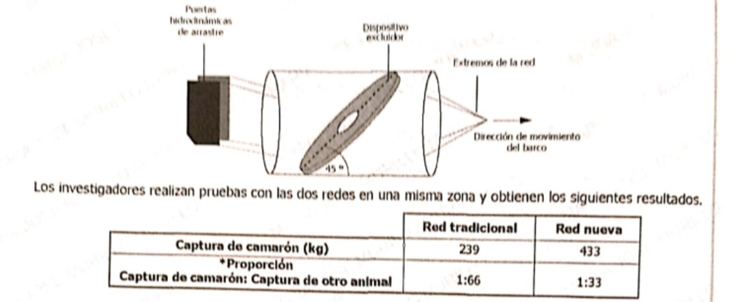 Grafica pregunta 2022A-NAT-095