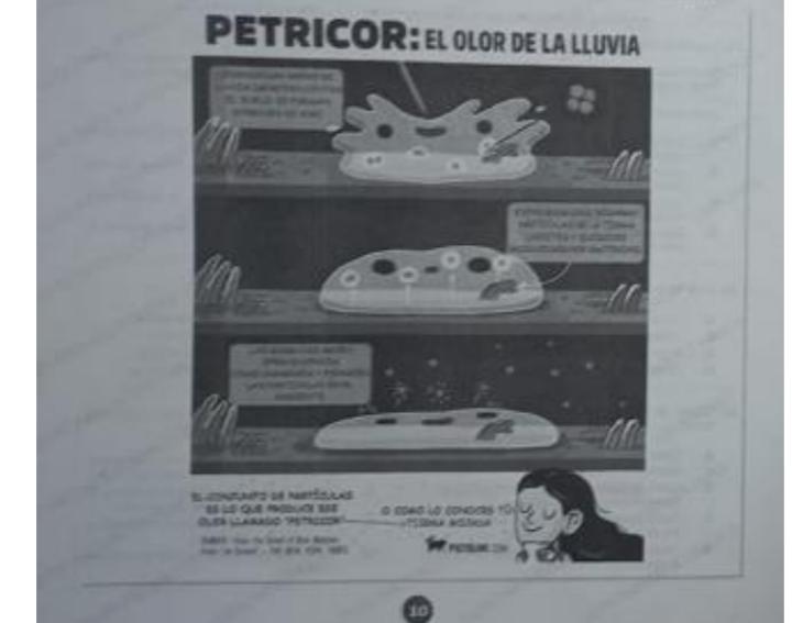 Grafica 2022B-LC-030